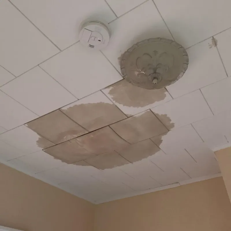 Ceiling Water Damage Repair in Middletown, VA