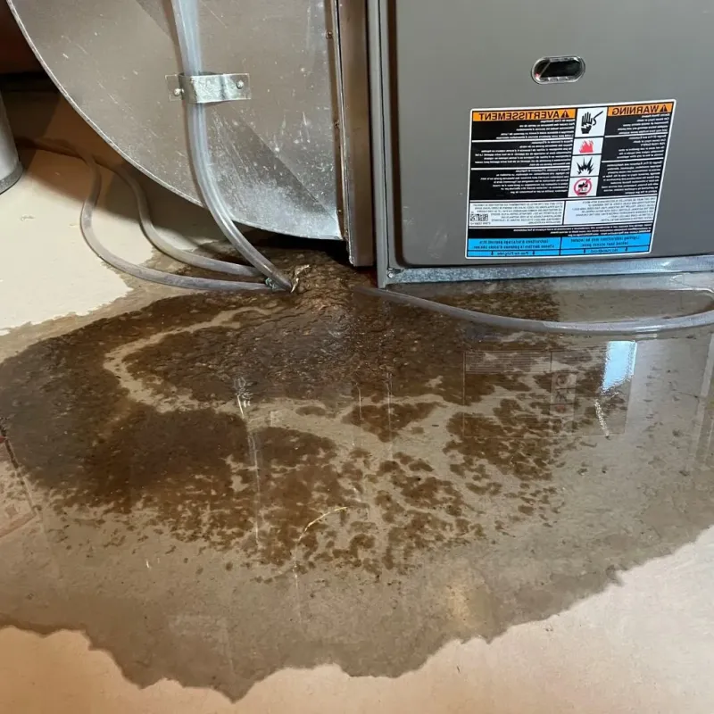 Pipe Burst and Leak Restoration in Middletown, VA