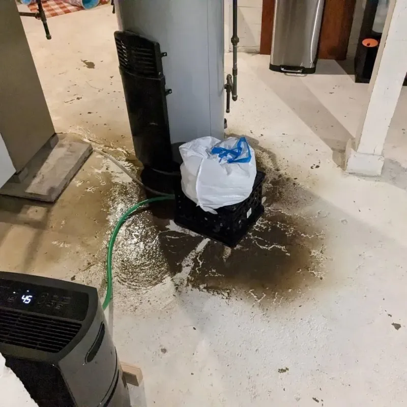 Sewage Backup Cleanup Service in Middletown, VA